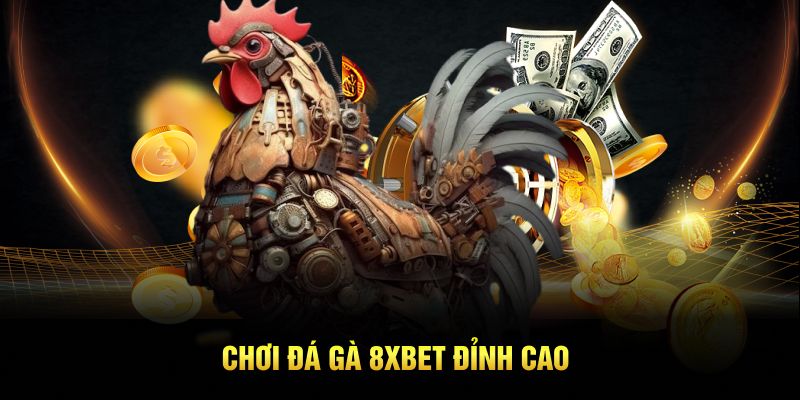 Chơi đá gà 8XBET đỉnh cao