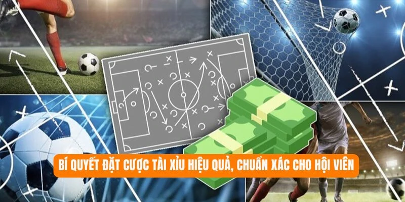 Bí quyết đặt cược tài xỉu hiệu quả, chuẩn xác cho hội viên