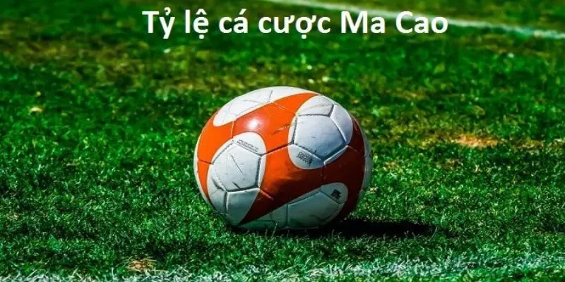 Một số loại cá cược hấp dẫn nhất tại Kèo Ma cao