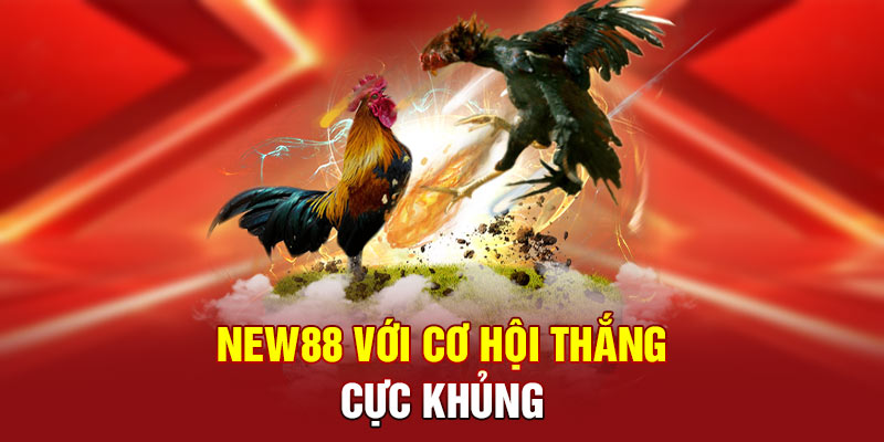 NEW88 với cơ hội thắng cực khủng