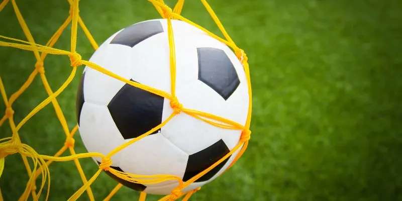 Những quy định quan trọng trong luật việt vị